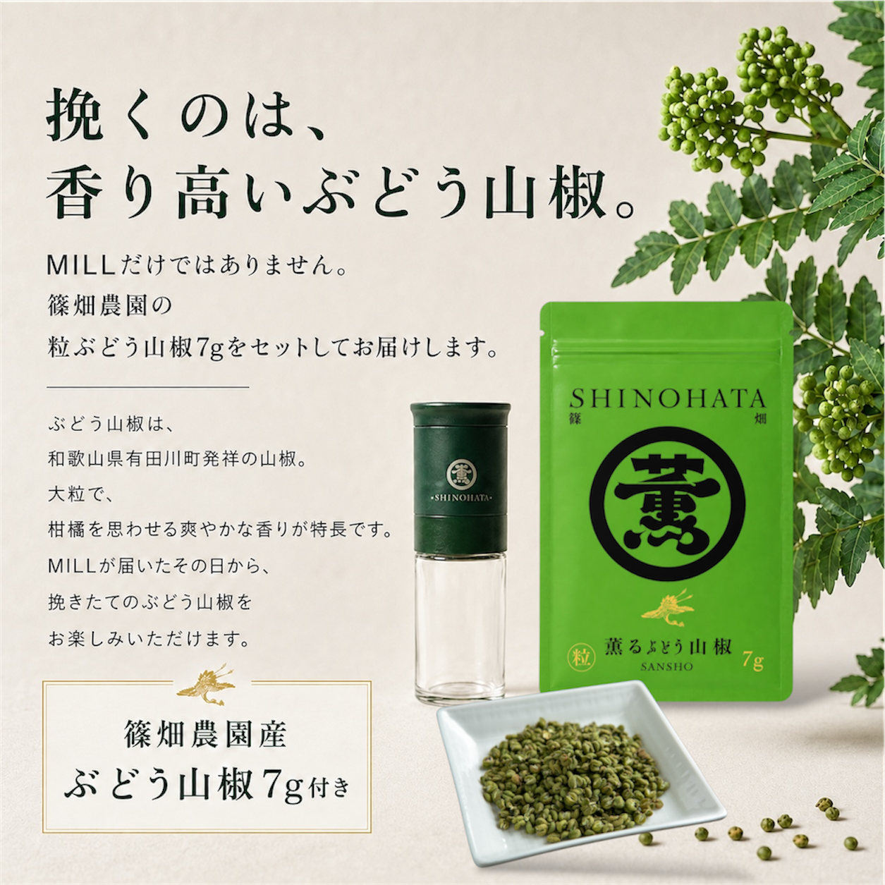 【8/30受注9/1出荷開始】山椒専用ミル・乾燥粒山椒セット