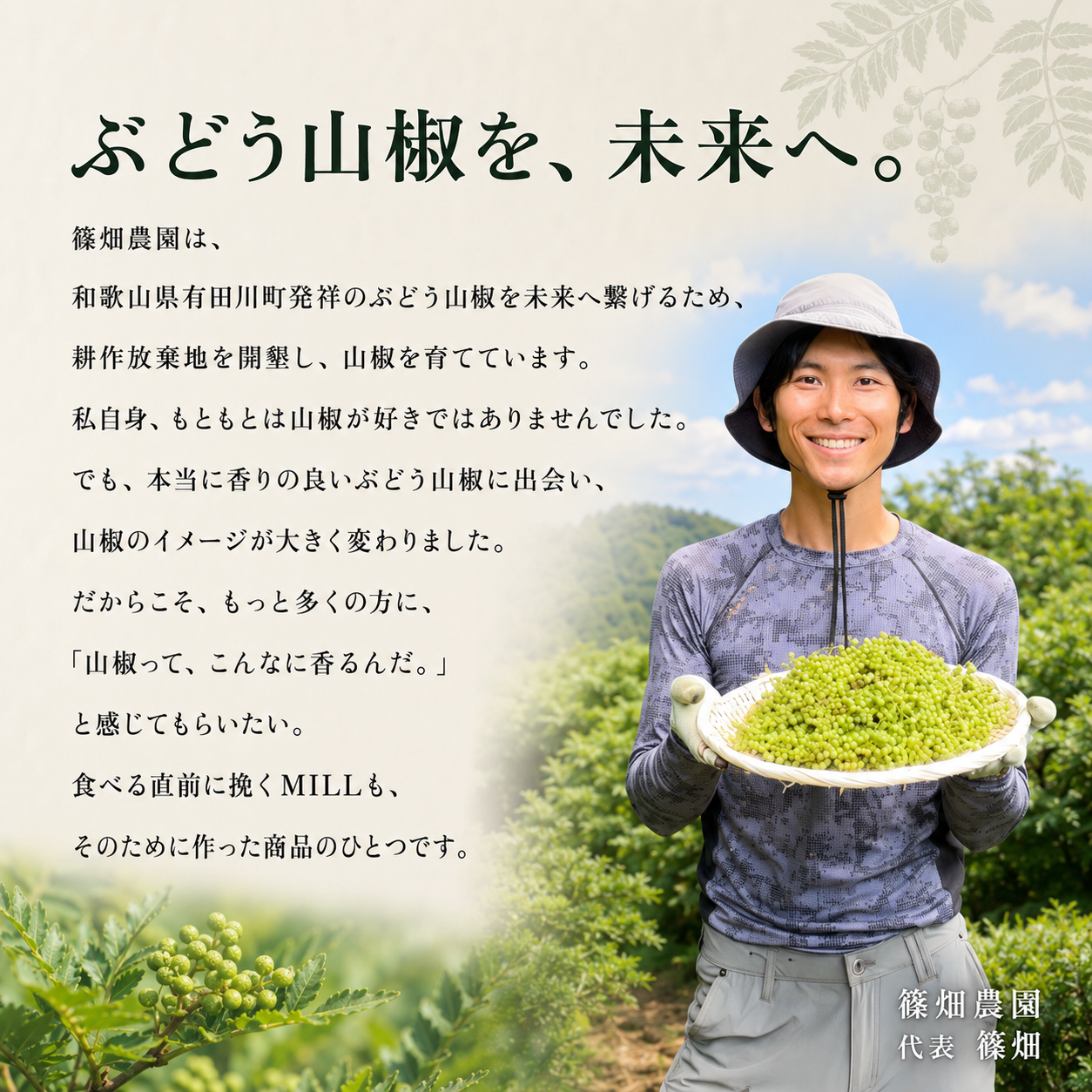 【8/30受注9/1出荷開始】山椒専用ミル・乾燥粒山椒セット